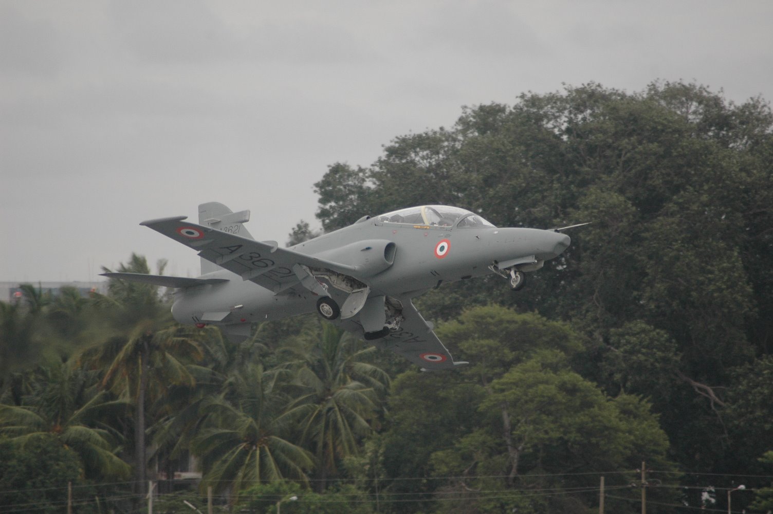 [DSC_0077[1]-774424.JPG]